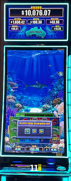 VIP Casino 11ii